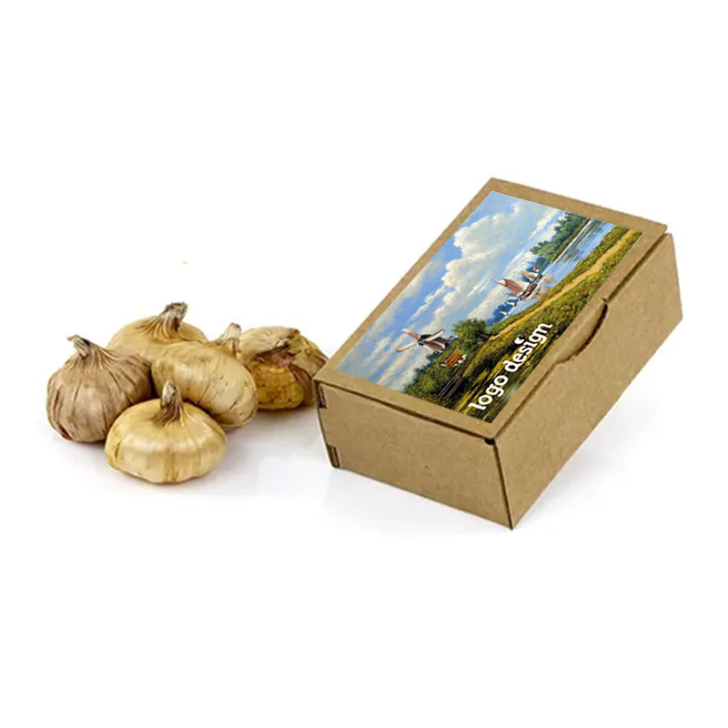 Kraft box medium flower bulbs